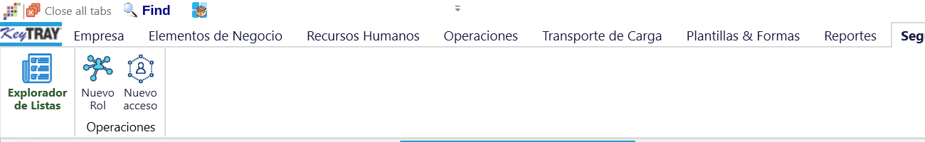 La pestaña Seguridad