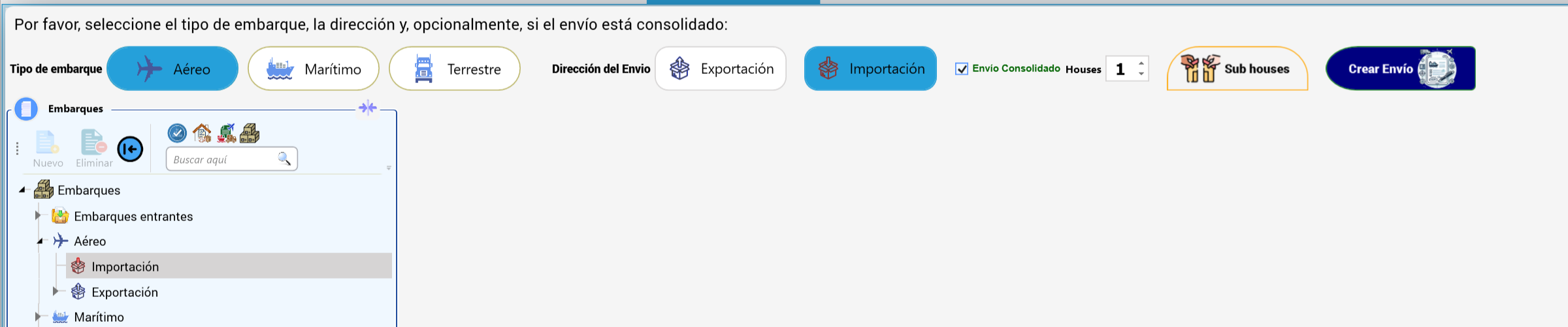 Nueva importación aérea consolidada con una house