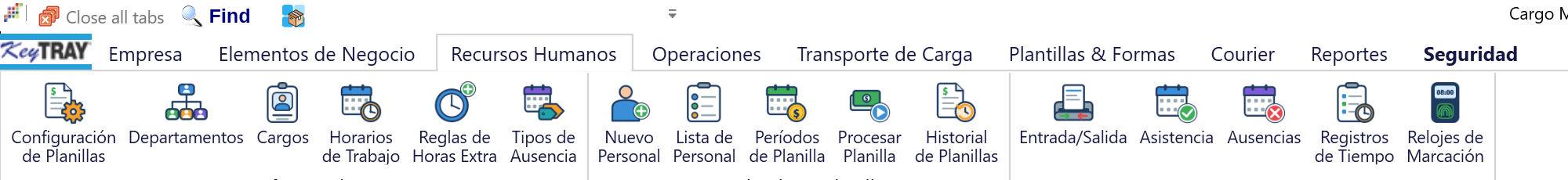 La pestaña Recursos Humanos