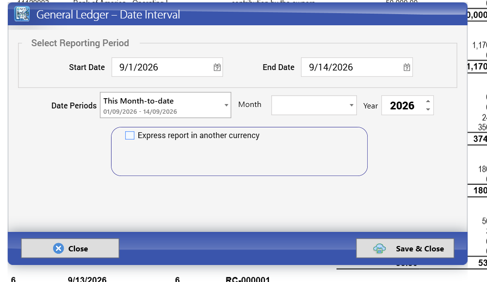 General Ledger options